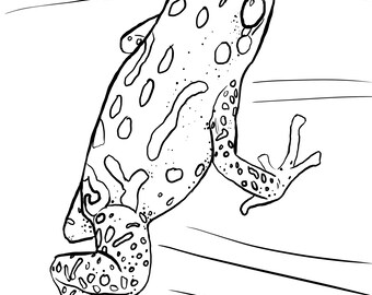 Poison dart frog coloring pages