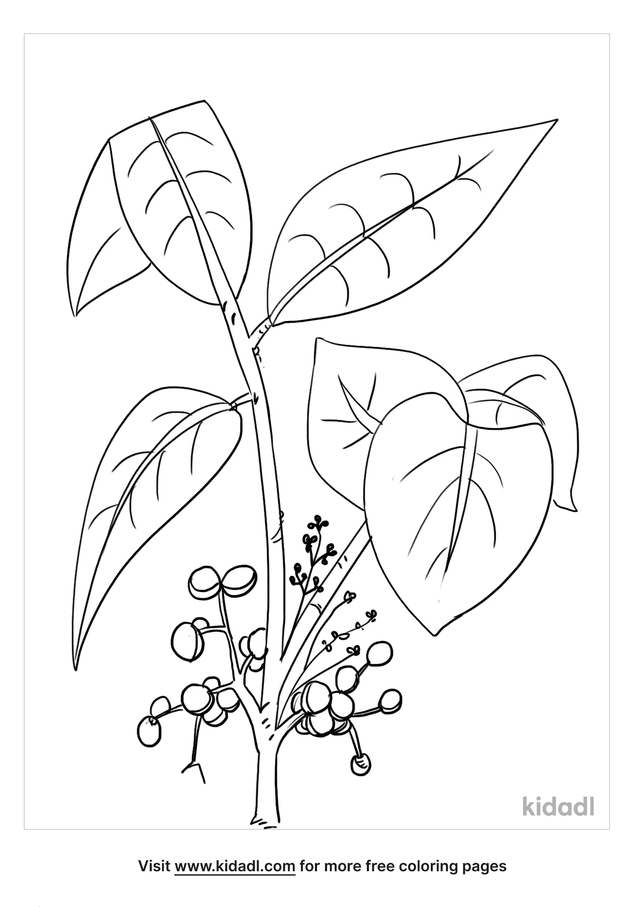 Free poison ivy coloring page coloring page printables