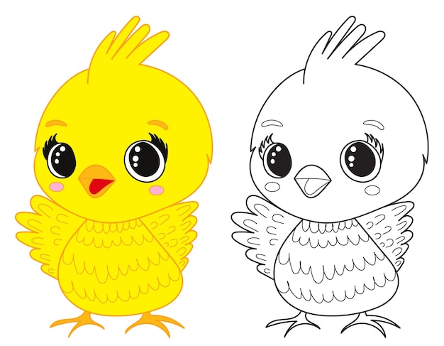 Premium vector chicken cartoon coloring book isolated vector