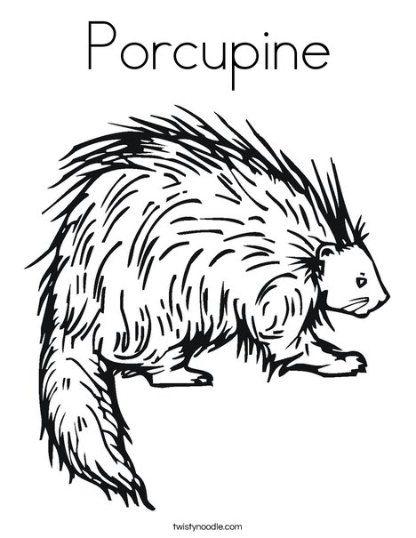 Porcupine coloring page