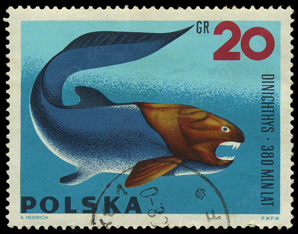 A polish stamp from featuring dinichthy ink decoration color photo background and picture for free download