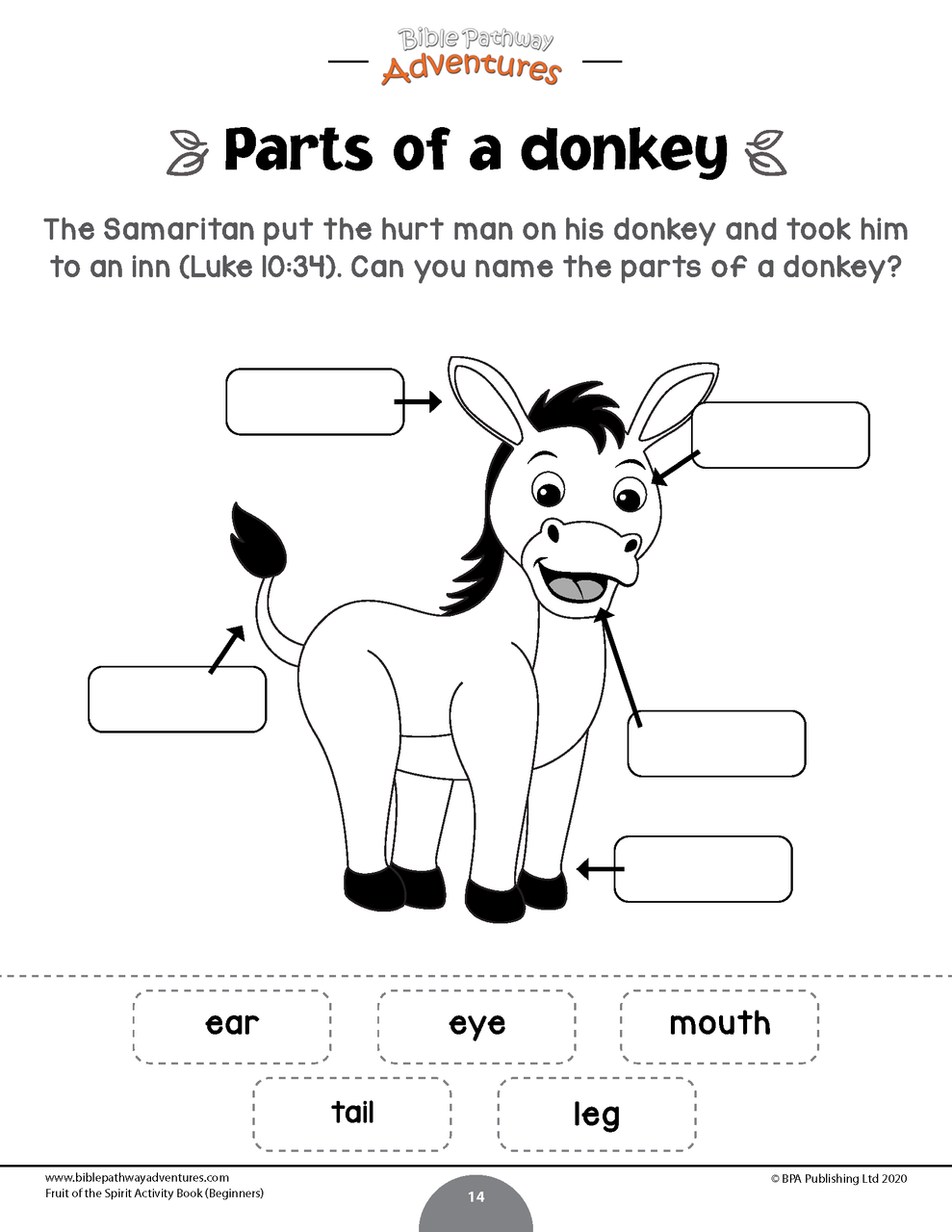 Fruit of the spirit activity book for beginners
