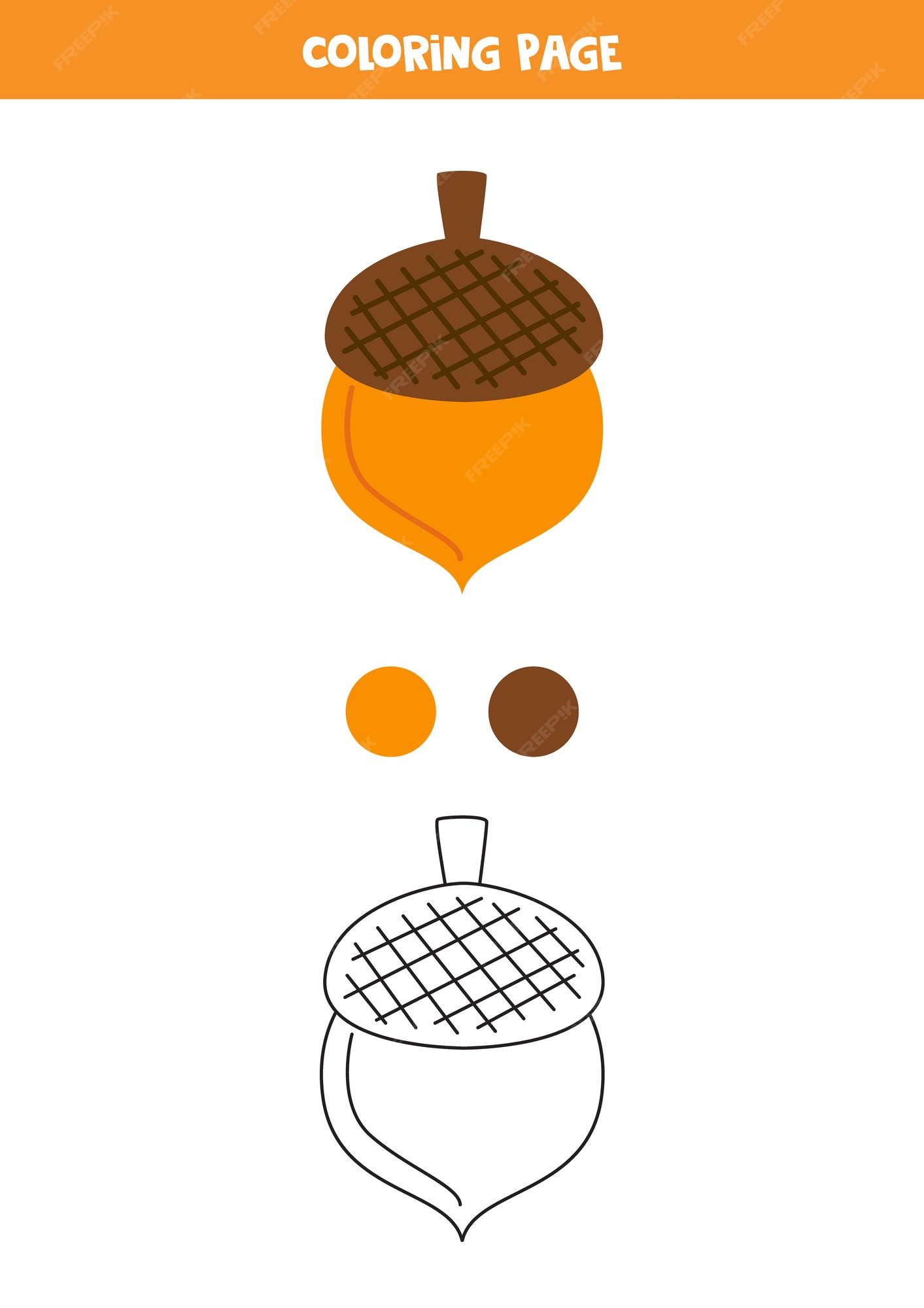 Premium vector color autumn acorn worksheet for preschool kids