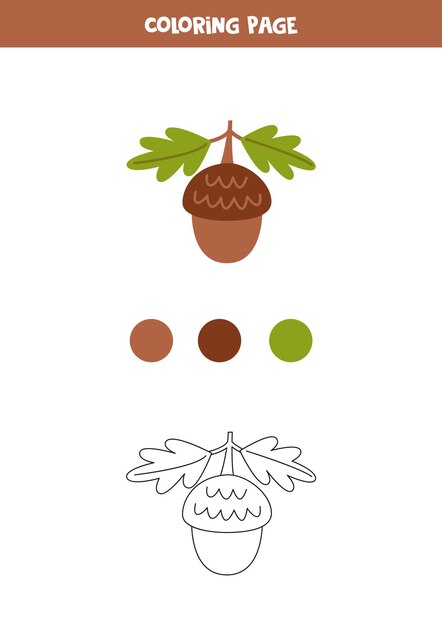 Premium vector color cartoon acorn worksheet for preschool kids