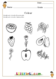 Identifying fruits and flowers worksheetkindergarten teachers resourcesprintable activity sheet