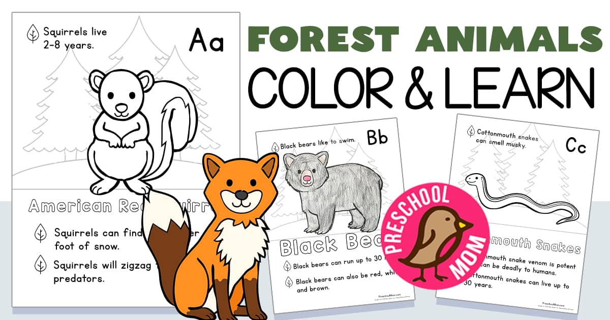 Forest animal coloring pages
