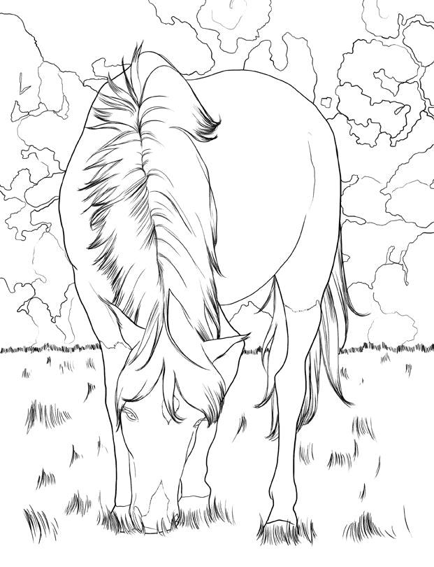 Horse coloring book for kids ages