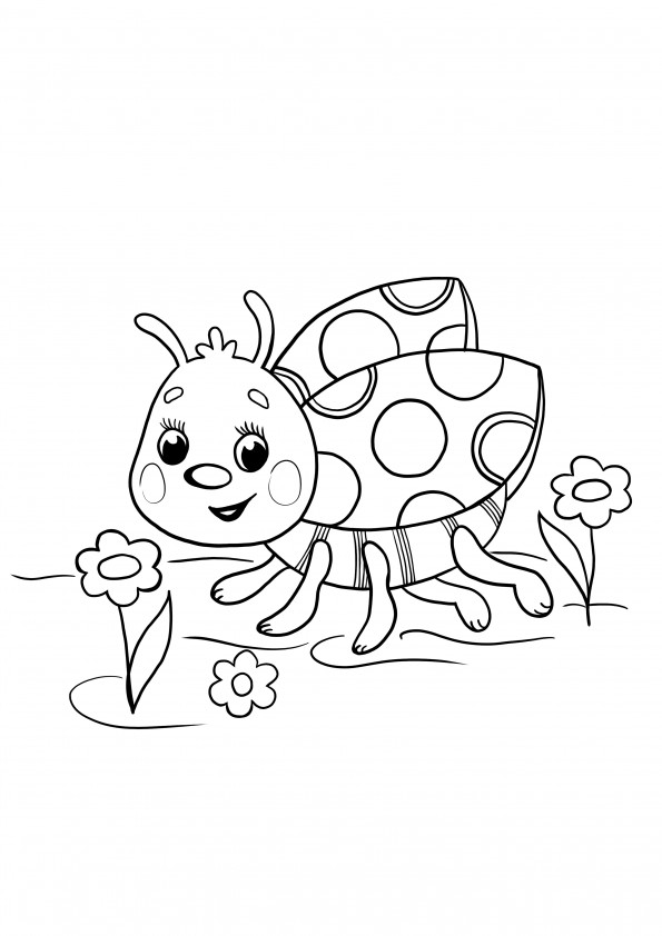 Coloring pages