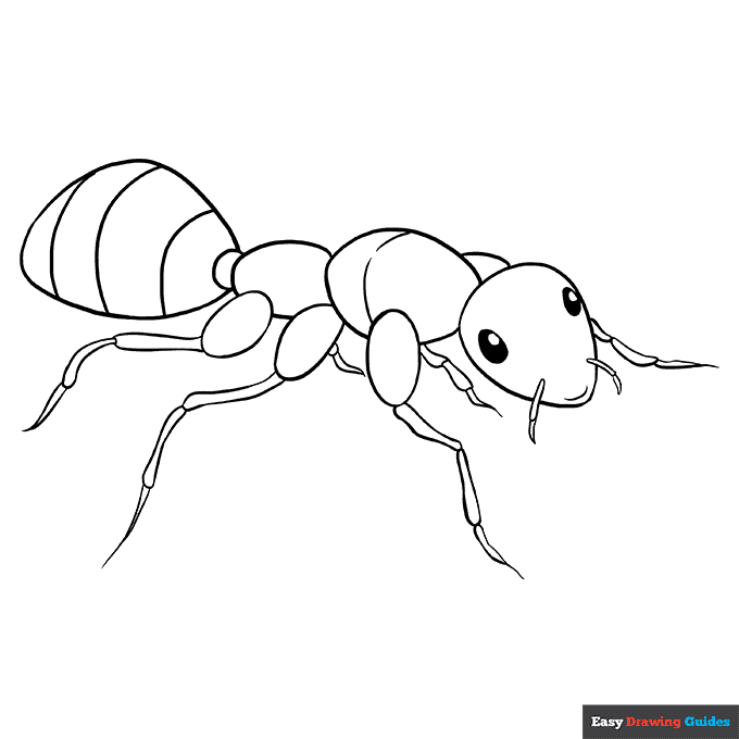 Ant coloring page easy drawing guides