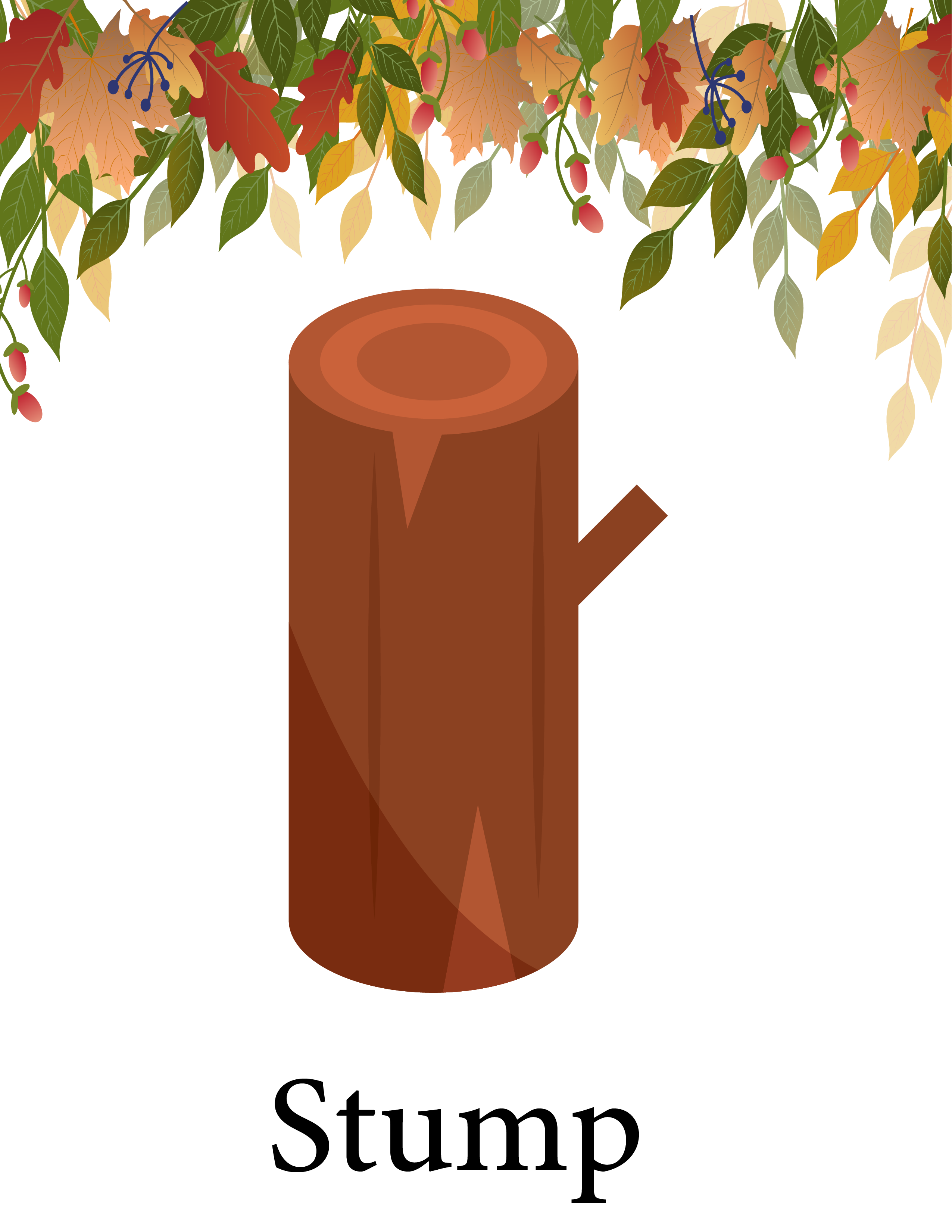 Fall items flashcards