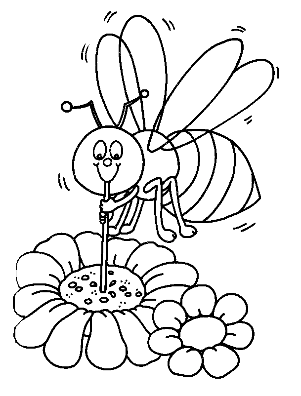 Bee coloring pages printable for free download