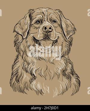 Realistic head of bernese mountain dog vector hand drawing illustration isolated on brown background for decoration coloring book pages design pri stock vector image art