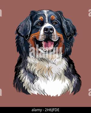 Realistic head of bernese mountain dog vector hand drawing illustration isolated on white background for decoration coloring book pages design pri stock vector image art