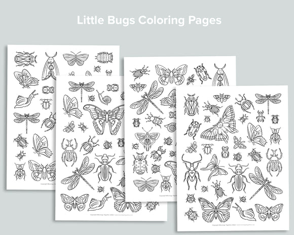 Little bugs coloring pages â mornings together