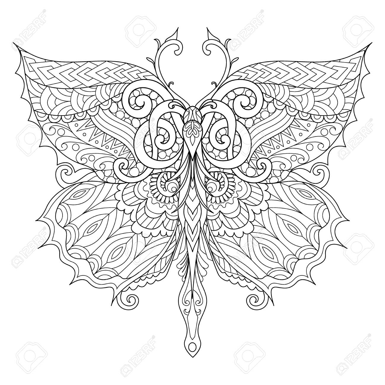 Beautiful butterfly for adult coloring book coloring page print on t shirt or other products vector illustration royalty free svg cliparts vectors and stock illustration image