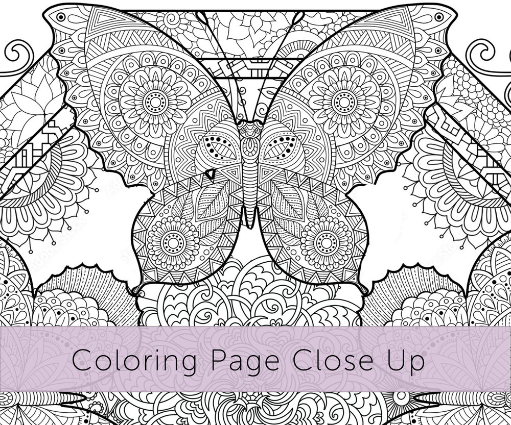 Butterfly mandala coloring page in black and white â chub and bug illustration wall art and school supplies for kids and babies