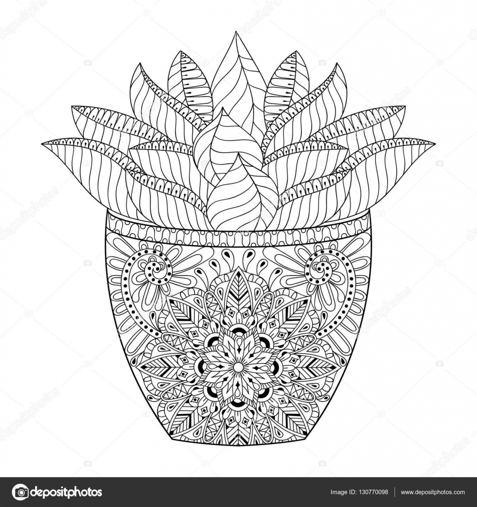 Zentangle succulent cactus vector illustration hand drawn outline desert plant texture in monochrome doodle style for adult antistress coloring pages books art therapy sketch for logo tattoo t