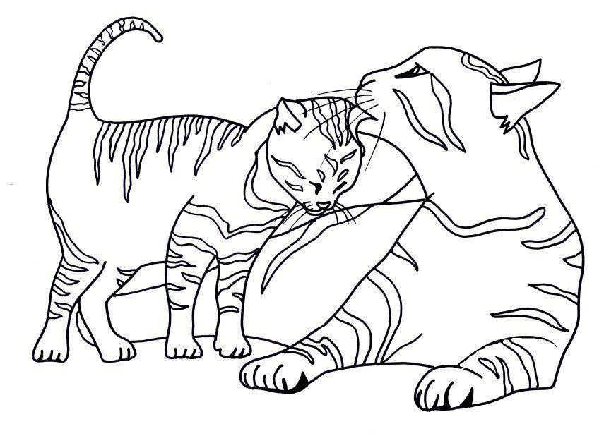 Free printable cat coloring pages for kids