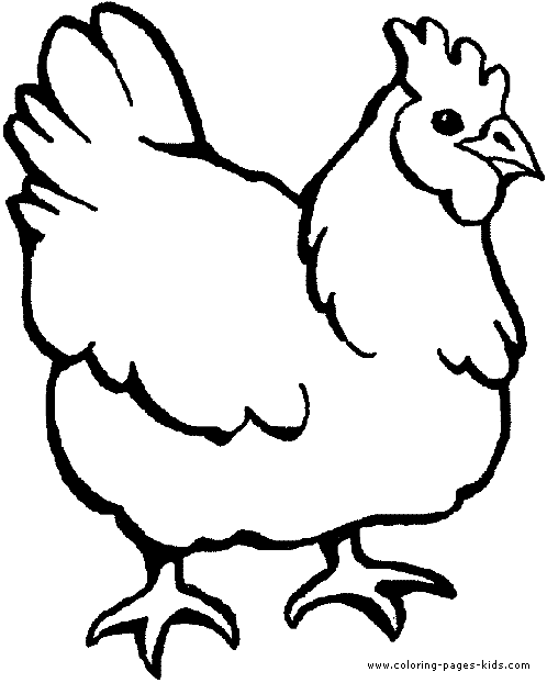 Chicken coloring page
