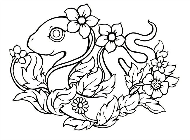 Zodiac animal colouring pages