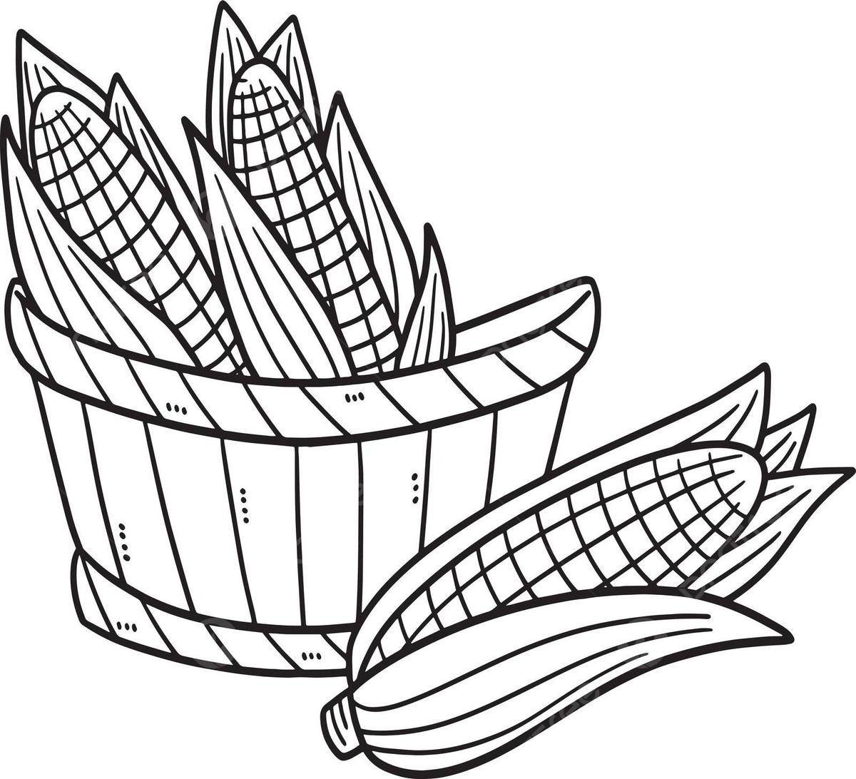Corn isolated coloring page for kids coloring page colouring book page vector coloring page colouring book page png and vector with transparent background for free download