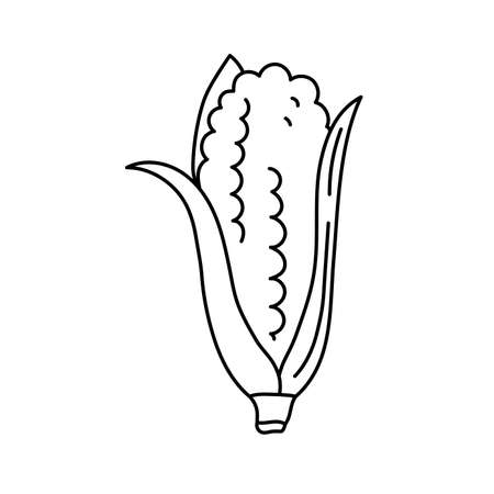 Corn coloring page stock photos and images
