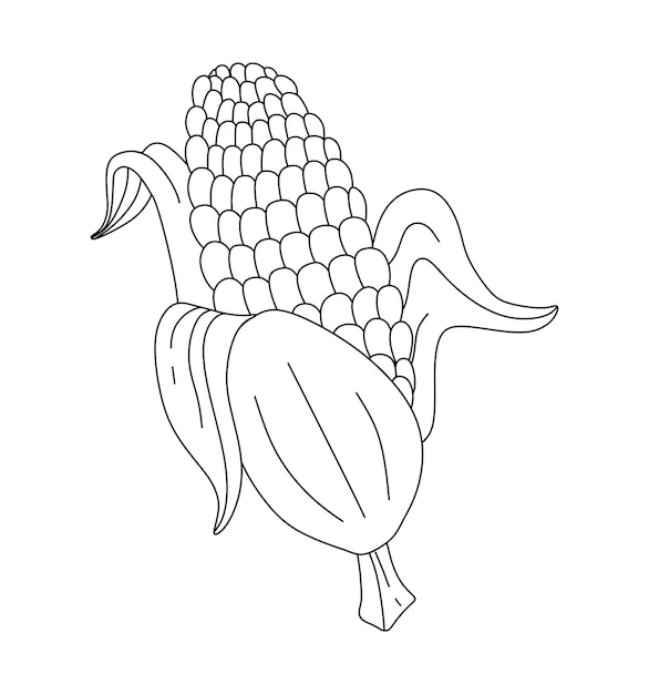 Premium vector corn doodle vector coloring book for kids