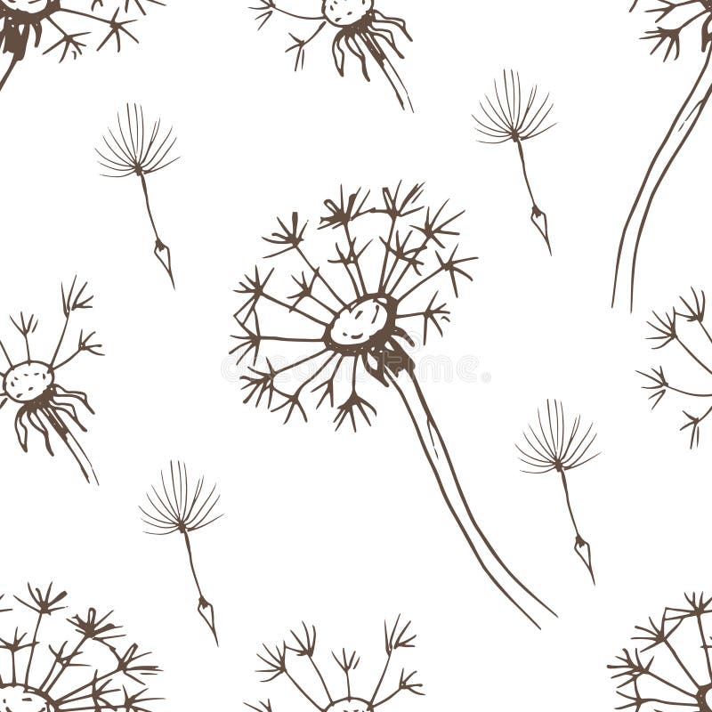 Coloring dandelion stock illustrations â coloring dandelion stock illustrations vectors clipart