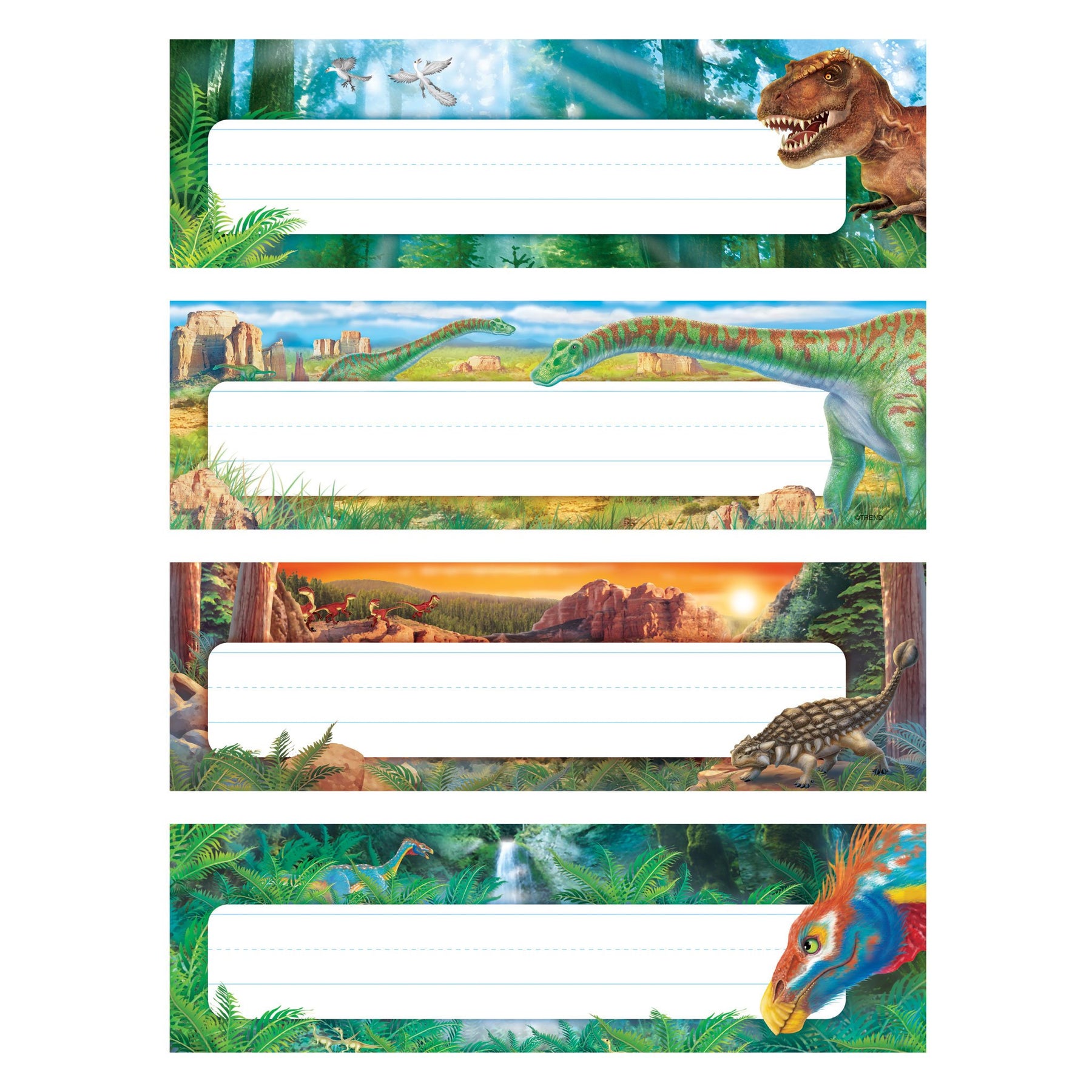 Desk toppers name plates variety pack discovering dinosaurs t â trend enterprises inc