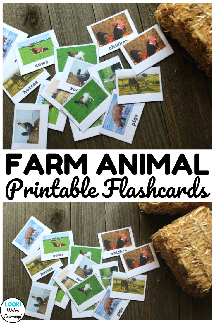 Printable farm animal flashcards