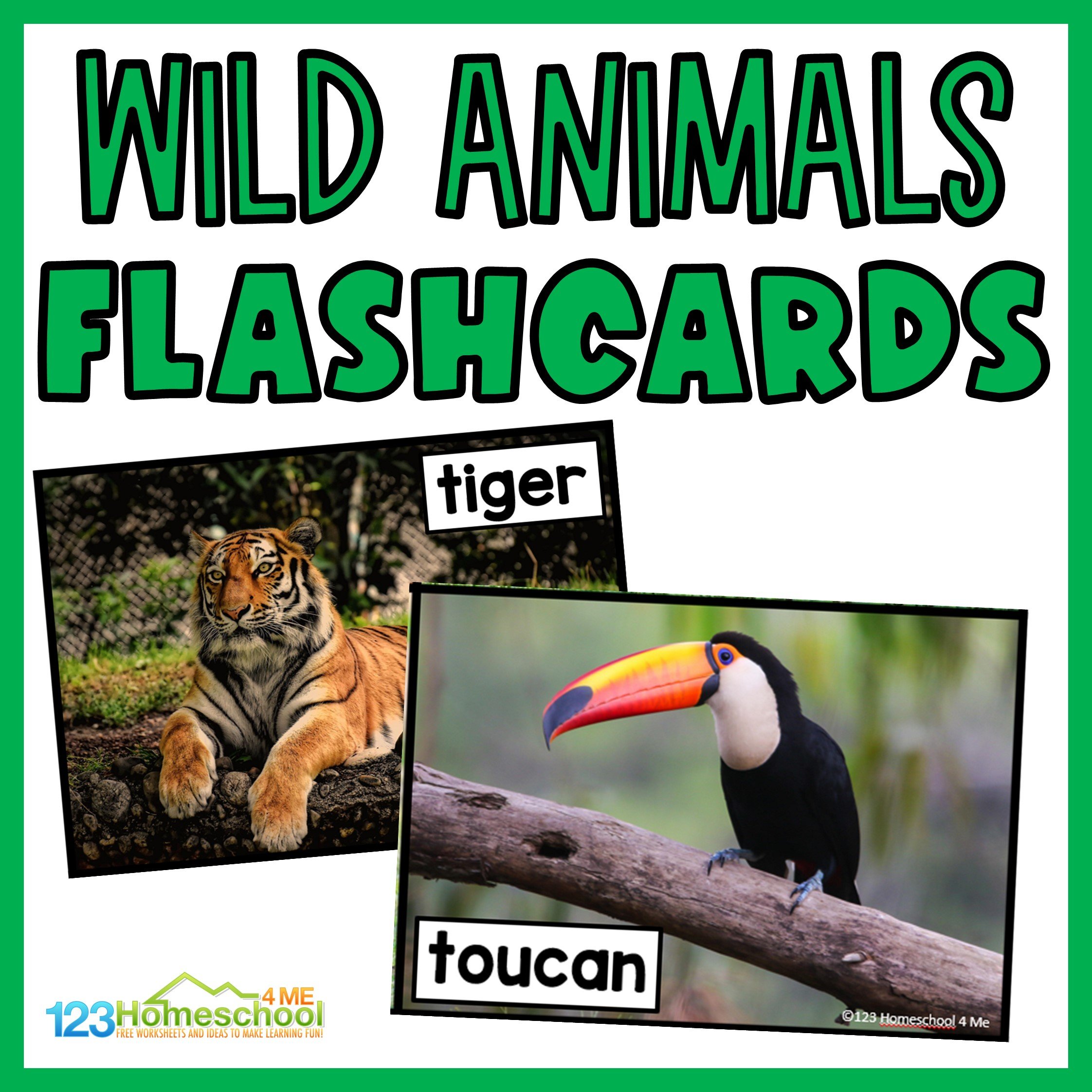 Ð free printable wild animal flashcards with real pictures