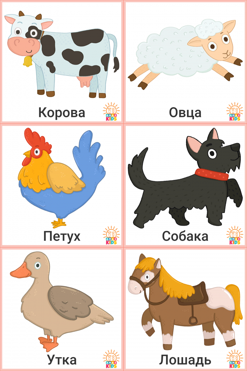 Printable flashcards for kids â farm animals amax kids