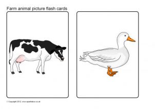 Animal flash cards printables for primary school
