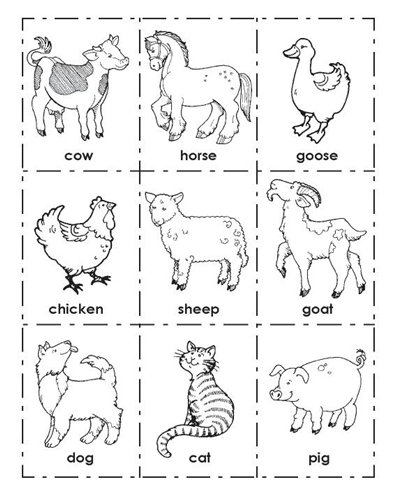 Animal picture cards worksheets