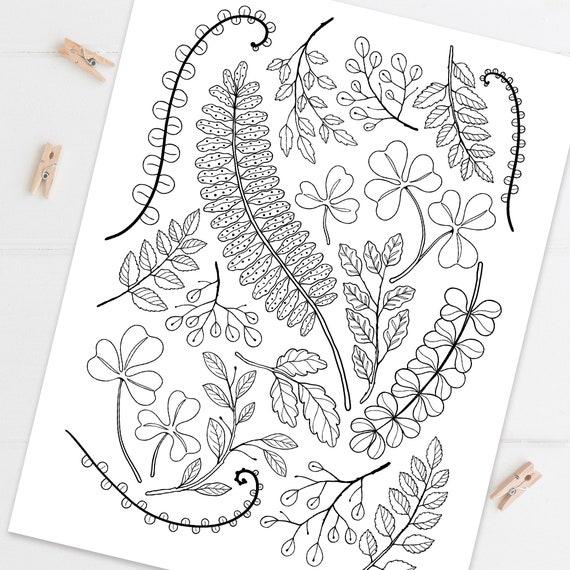 Forest leaves coloring page fern botanical coloring sheet woodland greenery adult coloring printable or digital