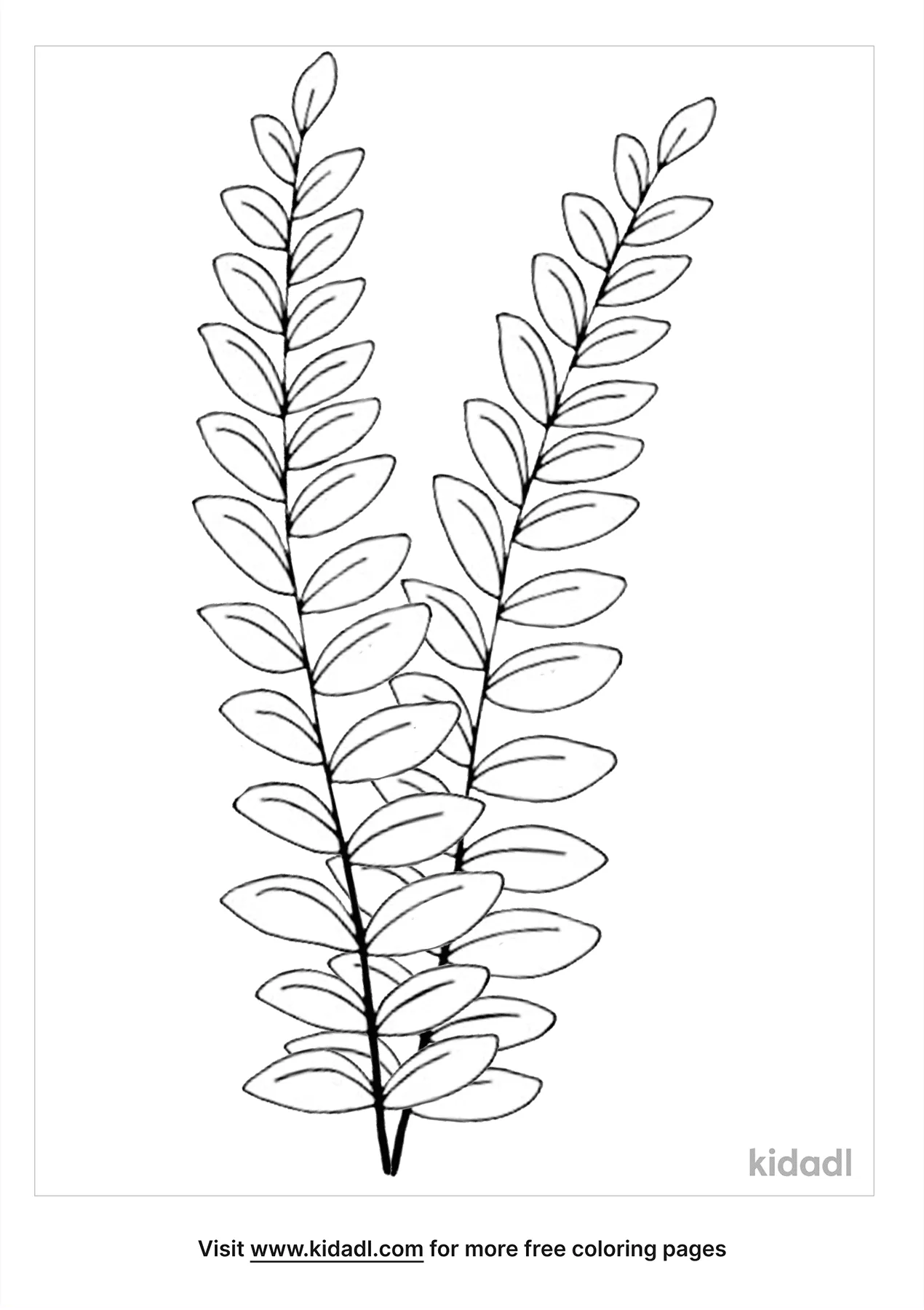 Free fern coloring page coloring page printables
