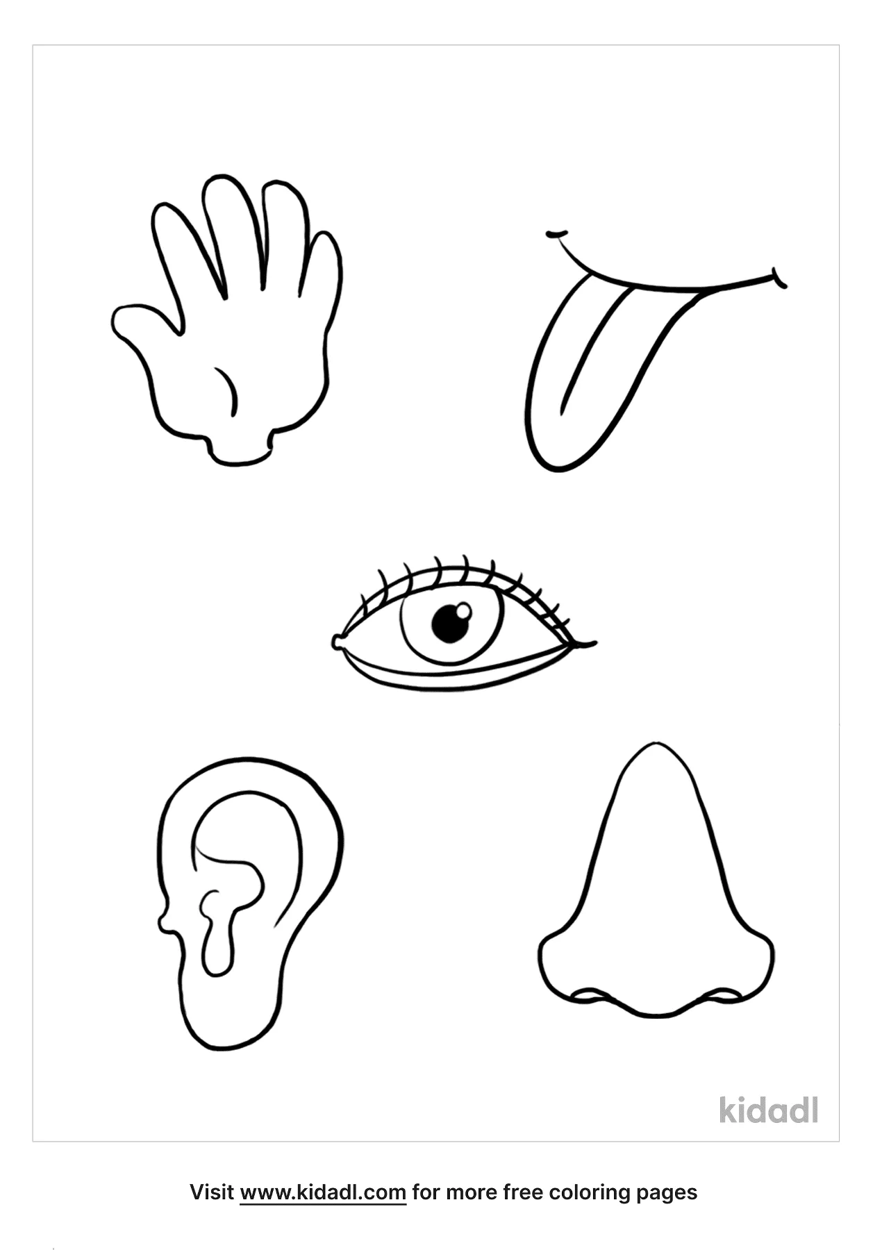 Free senses coloring page coloring page printables