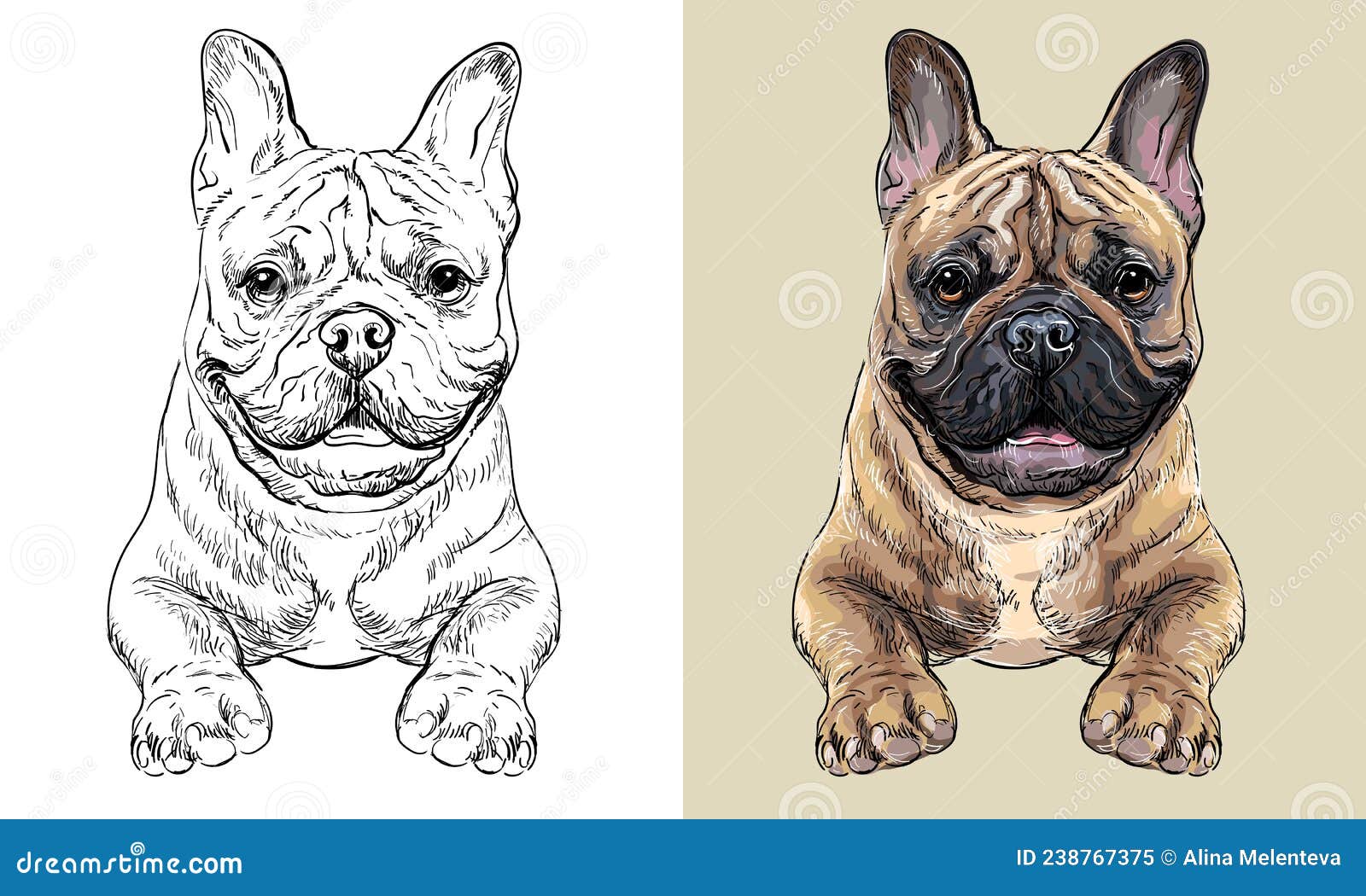 Vector hand drawing dog french bulldog monochrome and color stock vector