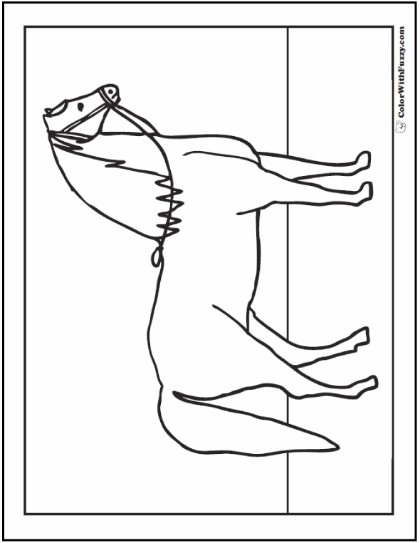 Horse coloring page riding showing galloping