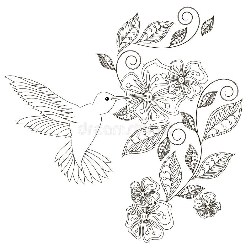 Monochrome hand drawn decorative floral element hummingbird for coloring page print tattoo stock vector