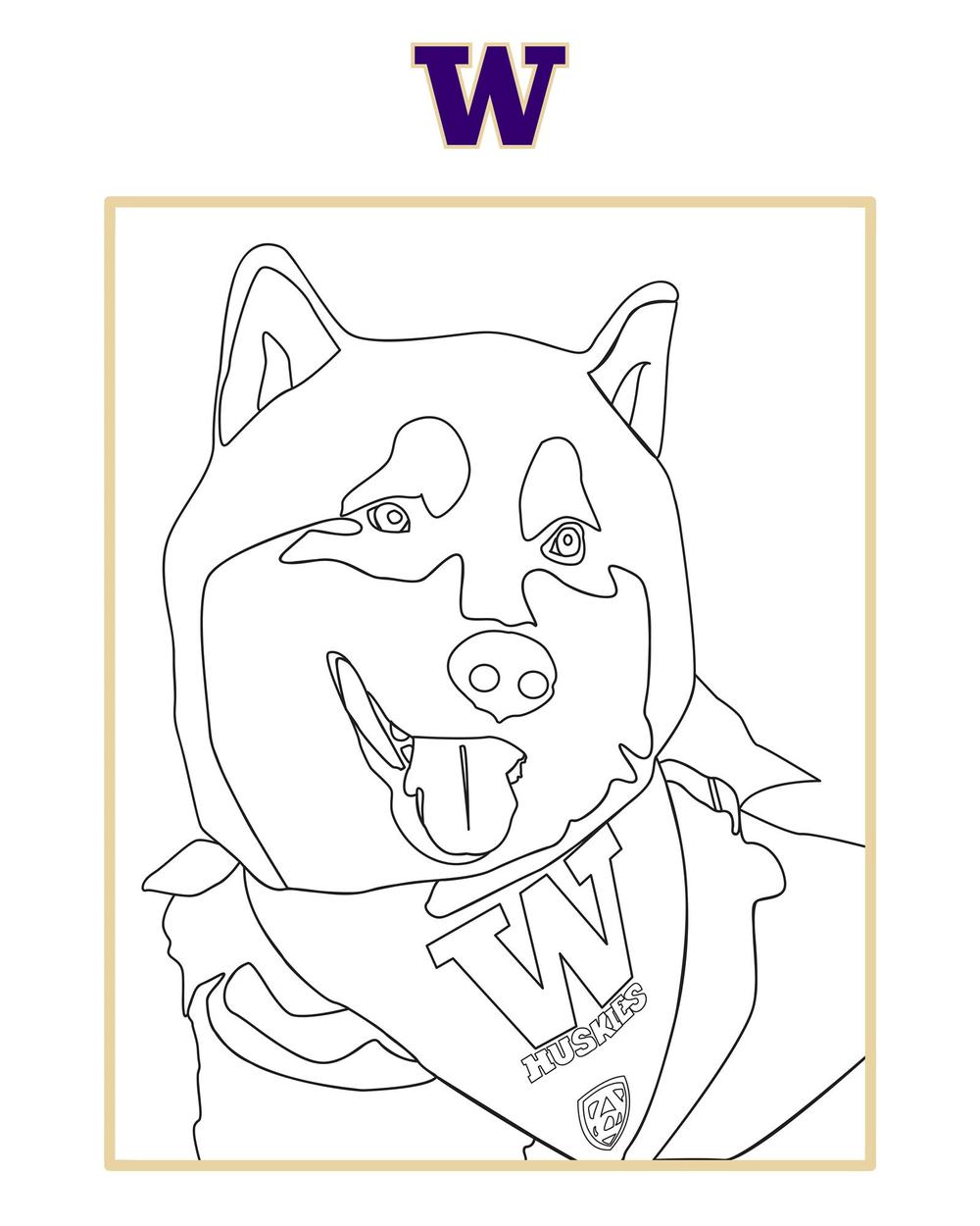 Go huskies coloring book