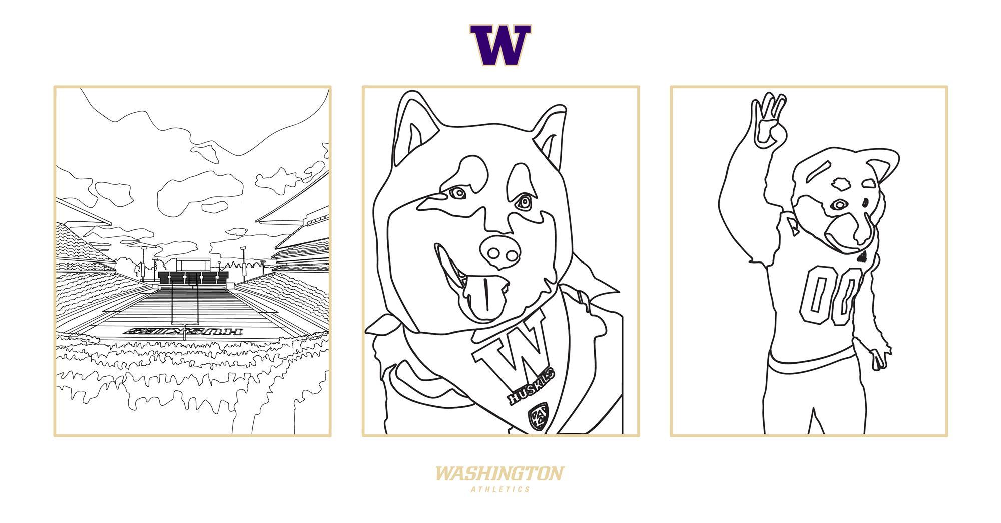Go huskies coloring book