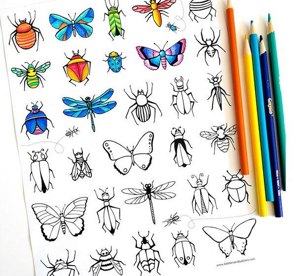 Bug and butterfly coloring page