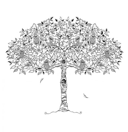 Johanna basfords secret garden artwork