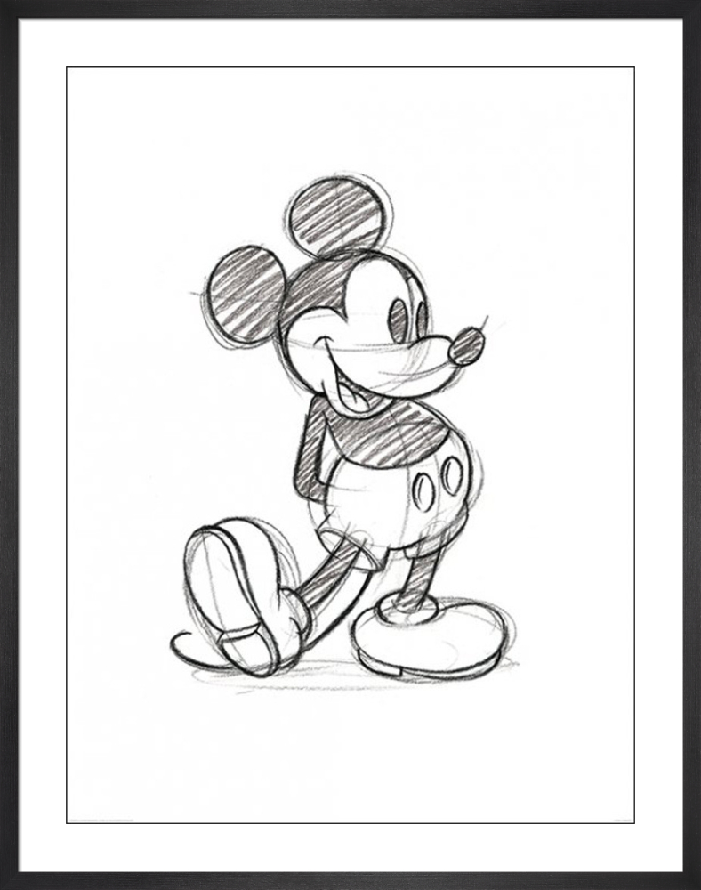 Mickey mouse