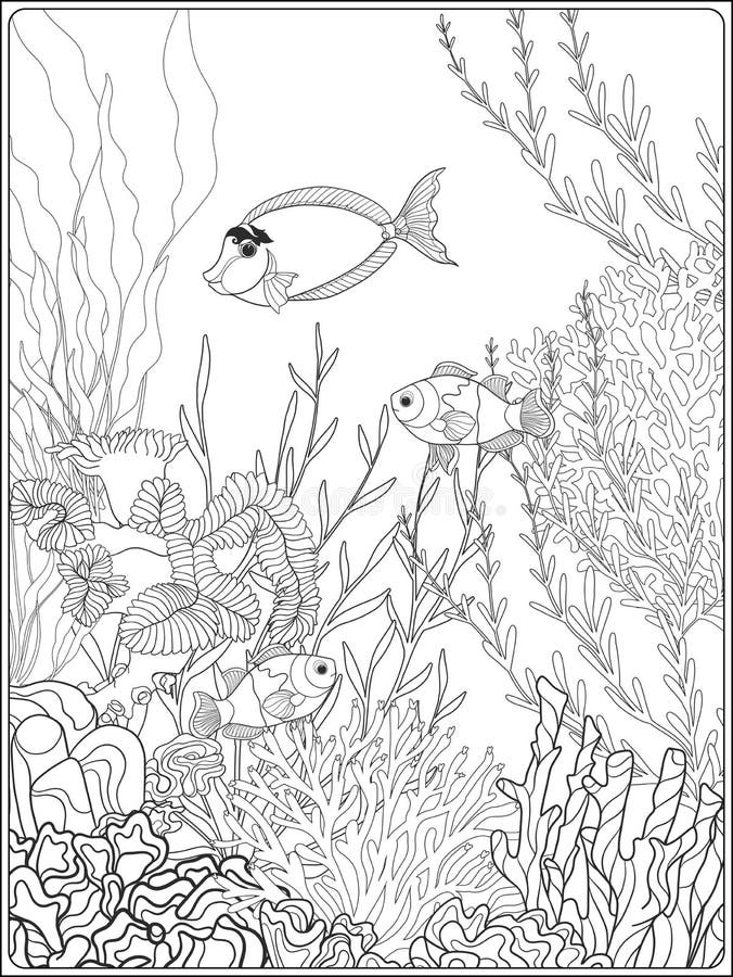 Fish adult coloring stock illustrations â fish adult coloring stock illustrations vectors clipart