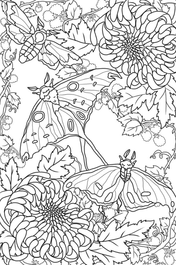 Beneath the brambles free colouring page by gutterface on