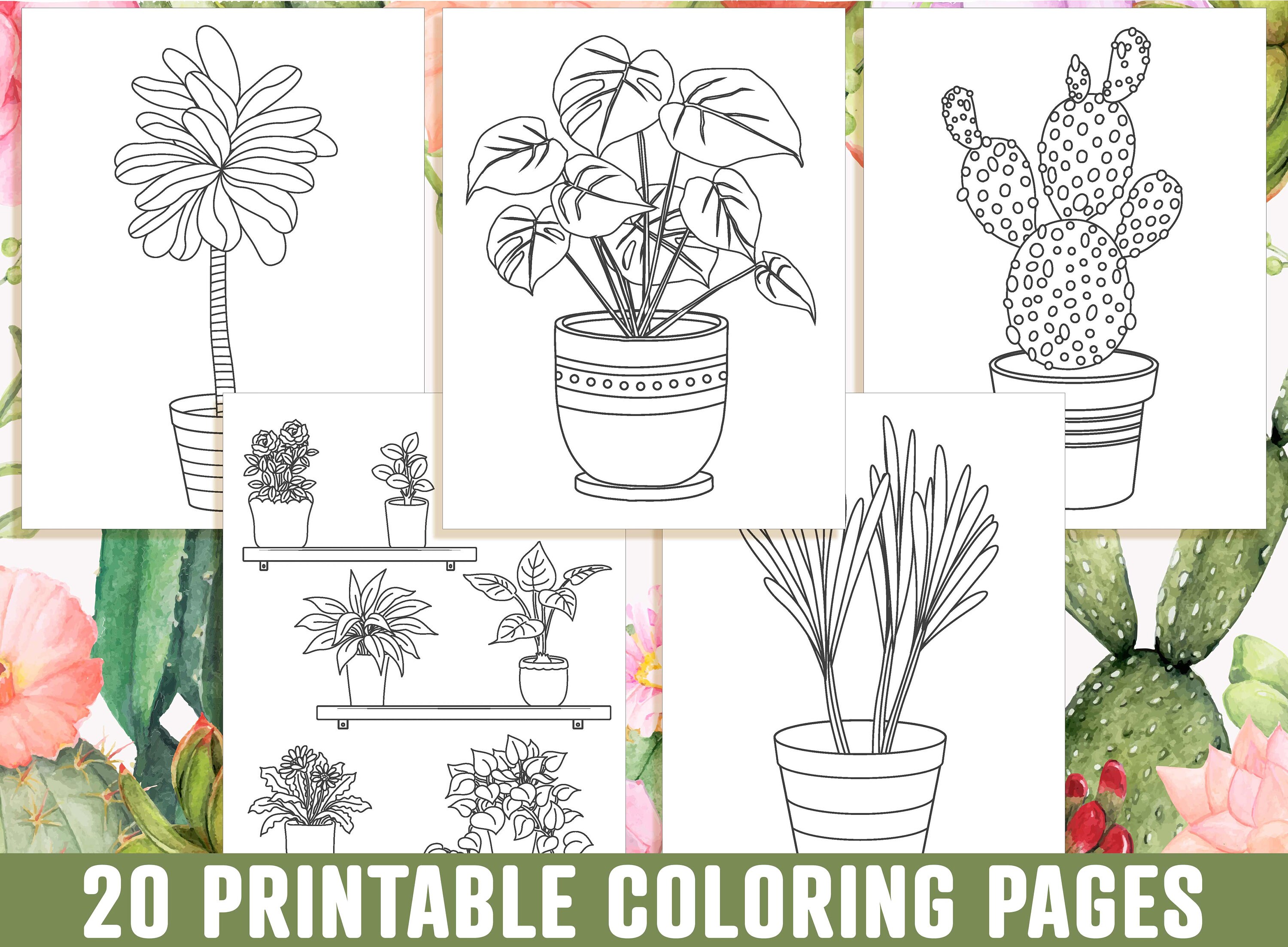 Houseplant coloring pages printable adorable succulent cactus houseplant coloring pages indoor plant coloring book instant download instant download