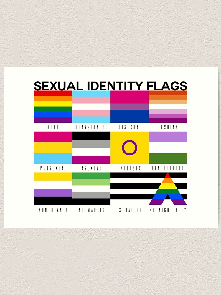 Sexual identity pride flags lgbtq pride month art print for sale by priscimissy