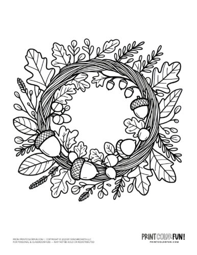 Acorn coloring pages printable clipart at